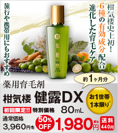 健露DX80