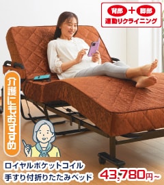 ロイヤルポケットコイル手すり付折りたたみベッド