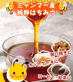 ミャンマー産純粋はちみつ