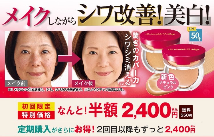 うめぼし様専用 うめぼし様専用 ウィッグ確認ページ 無き