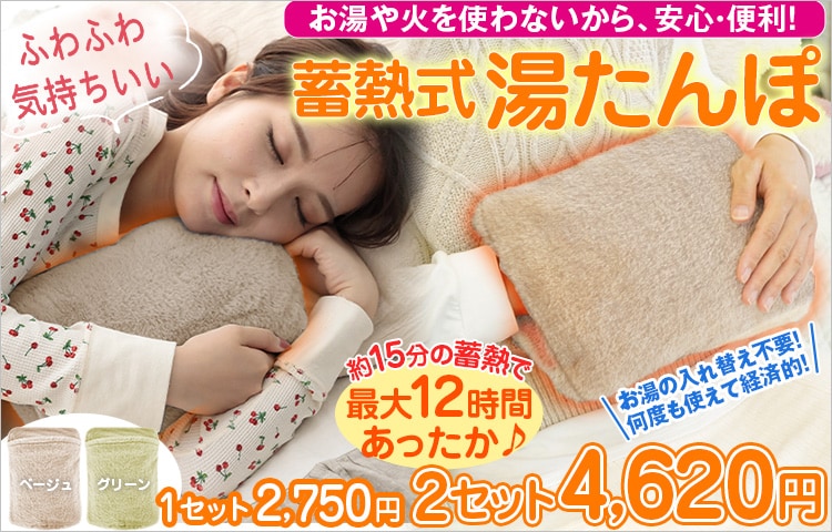 蓄熱式 電気湯たんぽ