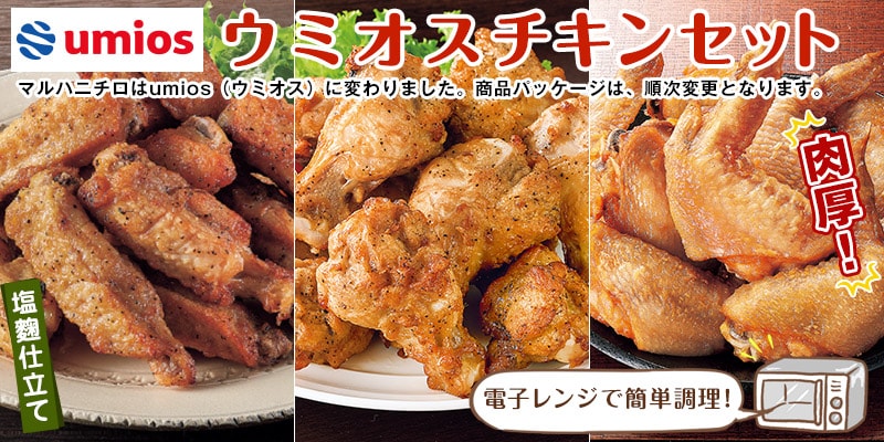 手羽元