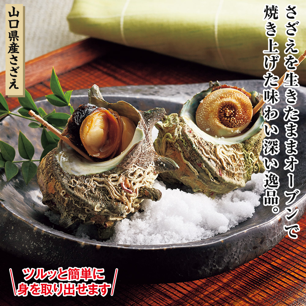 山口県産 さざえ壺焼き 16個セット: 食品・スイーツ／はぴねすくらぶ
