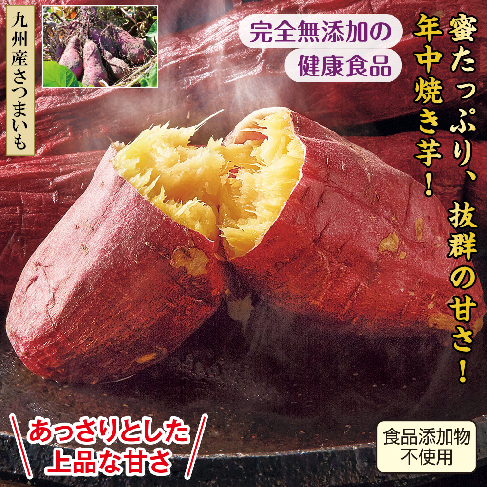 在庫一掃 やきいも紅はるか 1本×10袋セット