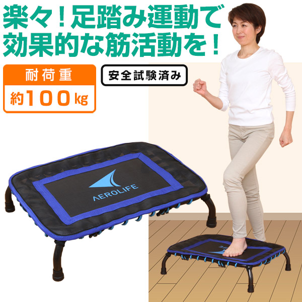 AEROLIFE エアロライフ  ステッパー  健康器具