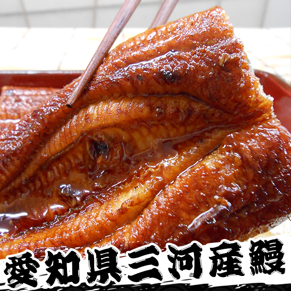 愛知県三河産 鰻蒲焼3尾セット