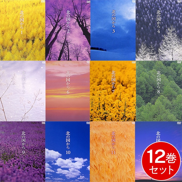 ドラマ 北の国から DVD 全12巻セット レンタル落ち DVD 北の国から 全12巻セット（Vol.1～12｜第1話～最終話）: 生活雑貨