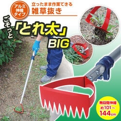 雑草抜き ごそっと「とれ太」