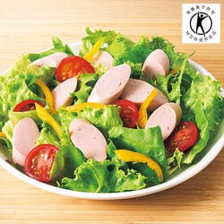 特定保健用食品DHA入りリサーラソーセージω 10袋セット