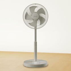リビングファン 0110811s.jpg