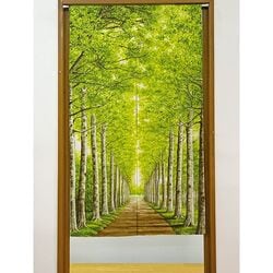 木もれ日の並木道のれん