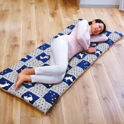 にゃんこふろーとごろ寝長座布団