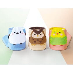 ひょっこり可愛い幸せの小鳥ソックス3柄組