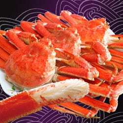 ボイルずわい姿3尾 合計約1.5kg