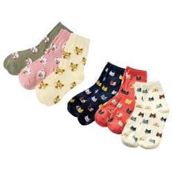 犬と猫のかわいい靴下