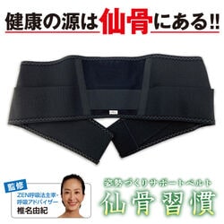 姿勢づくりサポートベルト 仙骨習慣