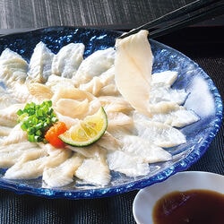 対馬産アナゴ刺身用