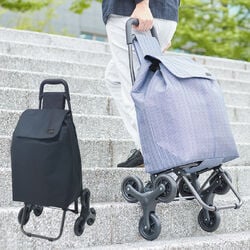 段差らくらくキャリー エシック