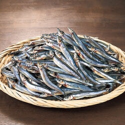 お徳用 長崎県産きびなご一夜干し