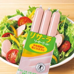 特定保健用食品DHA入りリサーラソーセージ 10袋セット