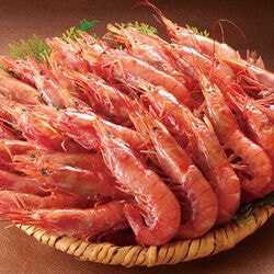 生食用 アルゼンチン赤えび