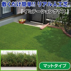 イミテーショングラス