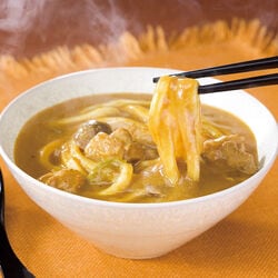 新宿中村屋カレーうどん 10食セット