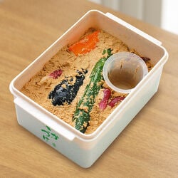 すぐに使えるぬか漬けセット