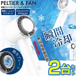 冷却プレート付きハンディファン 2台セット: 生活雑貨・家電／は