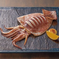 松いか一夜干し 4枚セット