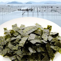 浅草海苔 もみ海苔食べ比べセット