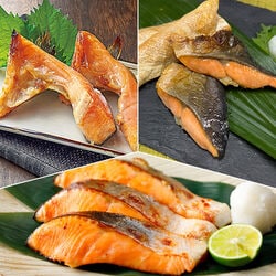 訳あり 三陸産 銀鮭切り落とし 1.7kg