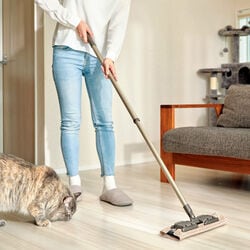 タフモッピーブラッシュ特別セット