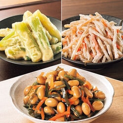 鉄分＆カルシウム強化 塩分1.2g以下のやわらかお惣菜3種セット 9袋セット