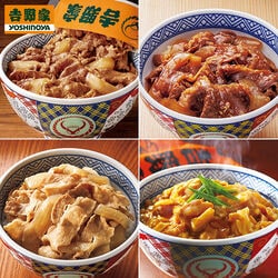 吉野家オールスターセット 4種13食セット