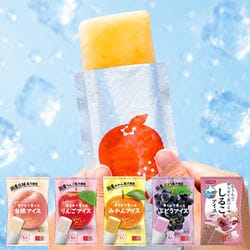 凍らせて食べるアイスフルーツ4種+おしるこ