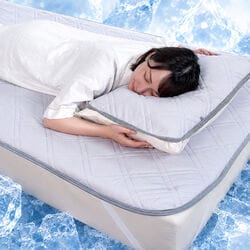 吸放湿・抗菌防臭・防ダニ 氷結ドライスペシャル敷きパッドセット