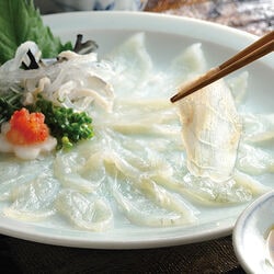 とらふぐの刺身 6皿セット