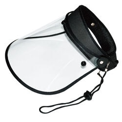 レインバイザー