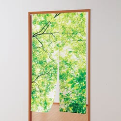 のれん こもれび