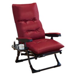 NEWくつろぎのリクライニングアームチェアDXII