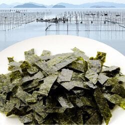 ＜訳あり＞浅草海苔 もみ海苔食べ比べセット