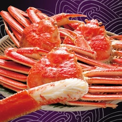 ボイルずわい姿3尾 合計約1.5kg【タイムセール】