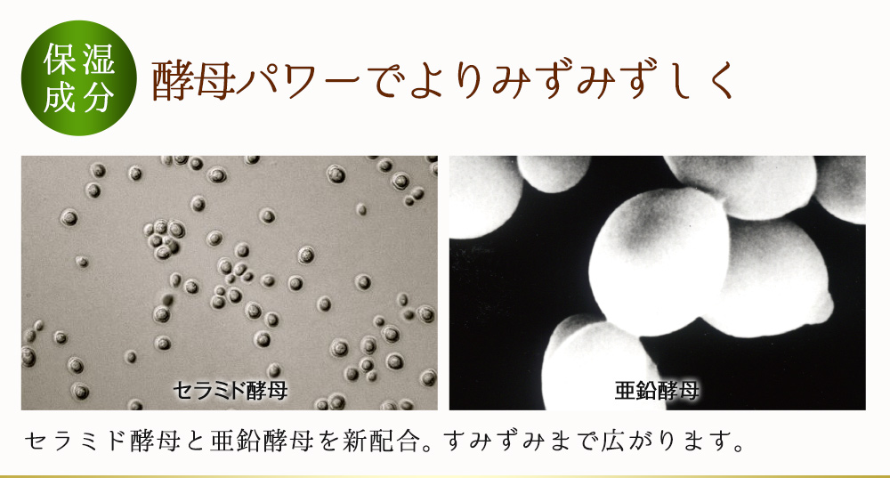 薬用育毛剤 柑気楼 健露<プレミアム>150mL: ヘアケア/はぴねすくらぶ 薬用育毛剤 柑気楼 健露<プレミアム>150mL: ヘアケア/はぴねすくらぶ
