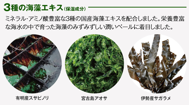 薬用育毛剤 新髪24潤成プレミアム 200mL: ヘアケア／はぴねすくらぶ