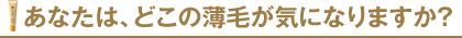 あなたは、どこの薄毛が気になりますか？