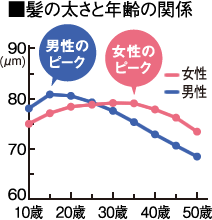 髪の太さと年齢の関係