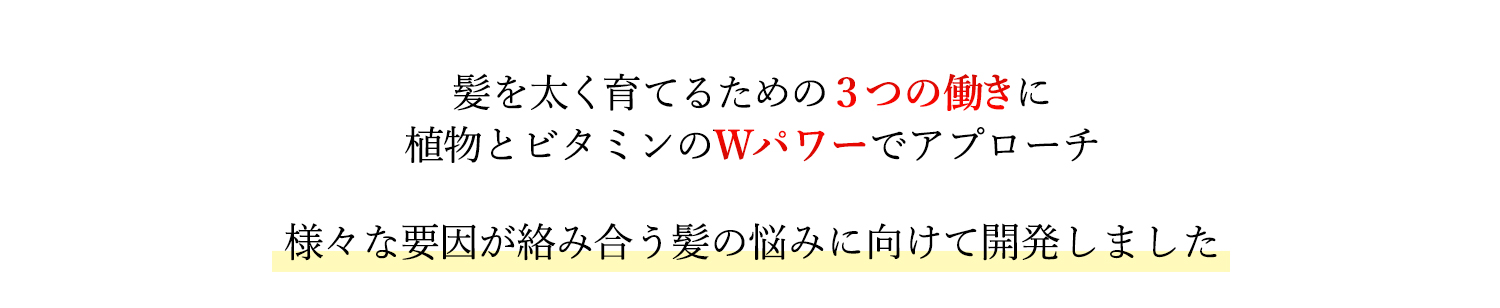 髪を強く太く育てるための3つの働きに植物とビタミンのWパワーでアプローチ 様々な要因が絡み合う髪の悩みに向けて開発しました