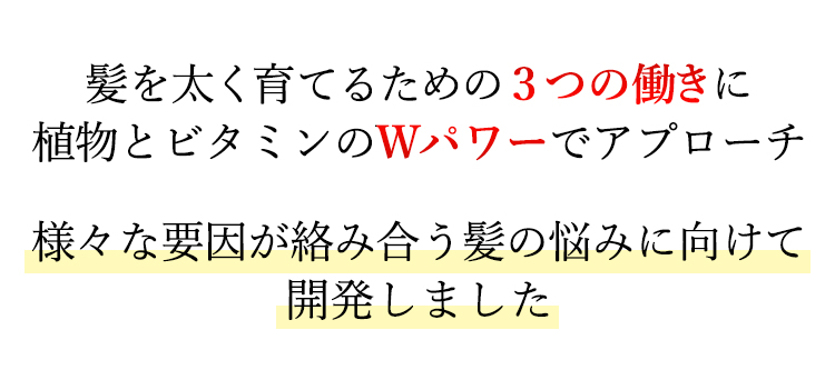 髪を強く太く育てるための3つの働きに植物とビタミンのWパワーでアプローチ 様々な要因が絡み合う髪の悩みに向けて開発しました