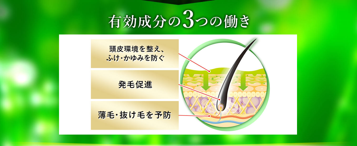 有効成分の3つの働き 頭皮環境を整え、ふけ・かゆみを防ぐ 発毛促進 薄毛・抜け毛を予防